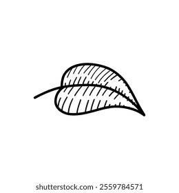 Illustration of  leaf with striped patterns and textured details. A simple botanical line art design, ideal for modern, nature-inspired creative projects.