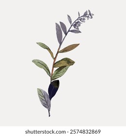 Illustration of a leafy branch with green, brown, and gray leaves. Leafy design with natural colors. Simple leafy branch on a light background. Vintage art drawing, isolated vector element.