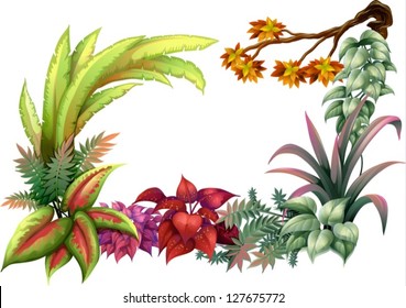 Illustration of leafy plants and a branch of a tree on a white background