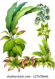 Illustration of leafy plants on a white background