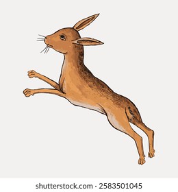 Illustration of a leaping brown hare with long ears. The hare is mid-jump, showcasing its agility. Brown hare, long ears, leaping action, agile hare. Vintage animal illustration vector.