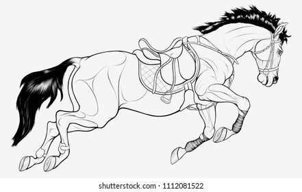 Illustration of a leaping steed equipped for show jumping competition. Vector line art stallion with saddle over numnah and snaffle bridle. Design emblem, mascot for equestrian clubs and horse owners.