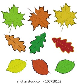 The illustration with leaves