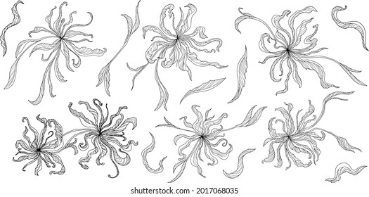  Ilustración de hojas . Composición abstracta. Vector eps 10