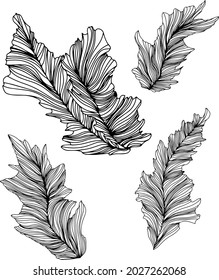 Illustration of leaves . Abstract composition. Vector eps 10