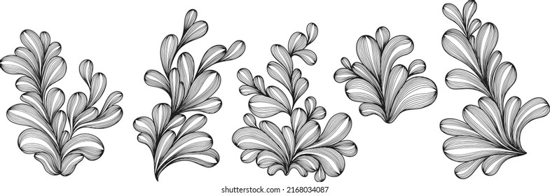 Illustration of leaves . Abstract composition. Vector eps 10