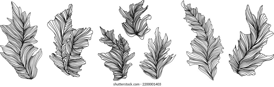 Ilustración de hojas . Composición abstracta. Vector eps 10