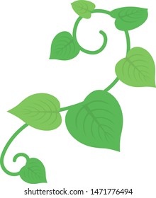 Illustration of leaves and buds.