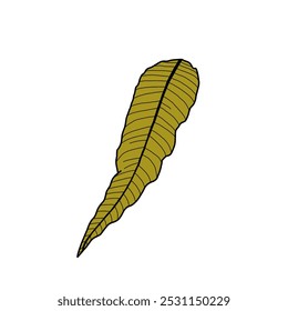 Illustration of leaves in dark green. Green leaf design elements. Vector illustration. 