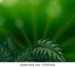 Illustration of the leaves with green rays