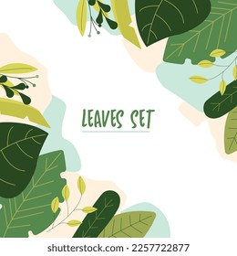 illustration of leaves set for teacher, student , college, banner, flyer, power point, and another comercial use