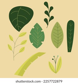 illustration of leaves set for teacher, student , college, banner, flyer, power point, and another comercial use