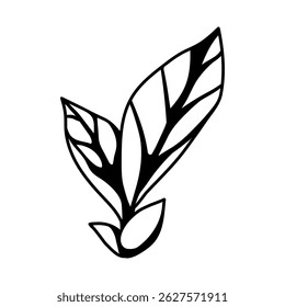 Illustration of leaves. Spring or summer stylized foliage.