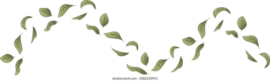 the illustration of leaves that are being blown by the wind.