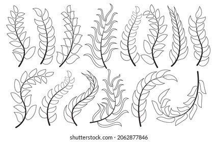 illustration of leaves and tree trunks with various models and types of leaves, outline leaves in autumn. for ornaments with forest and plant themes
