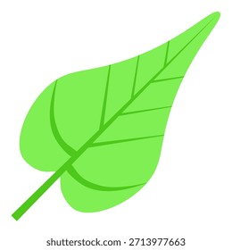 Ilustración de hojas con fondo blanco