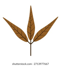 Ilustración de hojas con fondo blanco