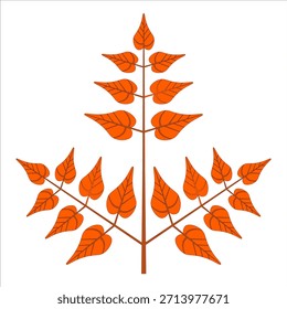 illustration of leaves with white background