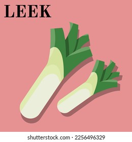 illustration of a leek, for teacher, student , collage, presentation, brochure, banner, ads, power point , and another comercial use, green, pink, white, light yellow