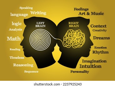 An illustration of left Brain vs. Right Brain Dominance. Creative people right-brained and analytical thinkers left-brained concept