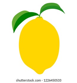 Illustration of the lemon