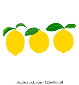 Illustration of the lemon