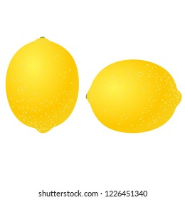 Illustration of the lemon