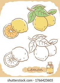 Illustration von Zitrone und Aromatherapie Flasche. Vektorgrafik.