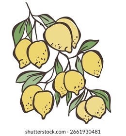 Illustration of Lemon Branch. Vector Graphic on the white Background