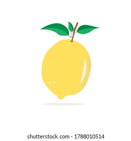 the  illustration of Lemon . Fresh citrus, half sliced lemons and chopped lemon. Cut lemons fruit slice and zest for lemonade juice or vitamin c logo. Isolated cartoon vector illustration icons set