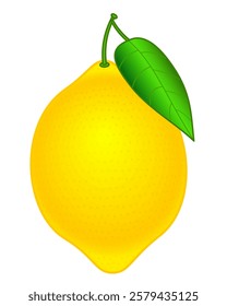 Illustration of a lemon fruit