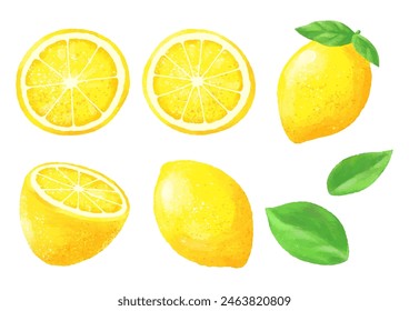 Illustration of a lemon with fruit, slices and leaves Fruit vector element.