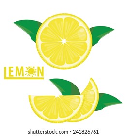 illustration lemon fruits on white ,vector 4