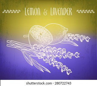 Illustration of lemon and lavender flowers 