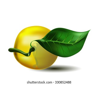 Illustration of lemon with leaf