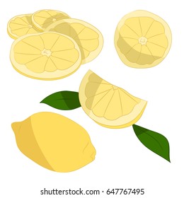 Illustration of lemon on white background