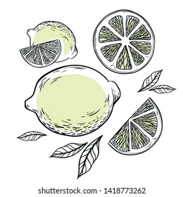 Illustration With Lemon, Lemon Pieces And Leaves Made In Graphic Style