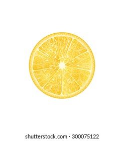 Illustration Lemon Slice Isolated on White Background - Vector