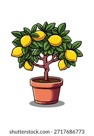 Illustration of a lemon tree that has borne fruit in a pot, fresh, isolated on a white background