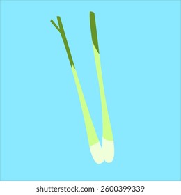 Illustration of Lemongrass spice plant. Kitchen spices or herbs. Flat art design