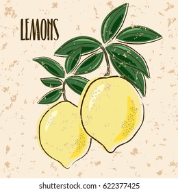 Illustration with lemons. Grunge background.