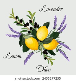 Ilustración con limones, lavanda y aceitunas.Ilustración vectorial con limones, lavanda y aceitunas sobre un fondo de color con texto.