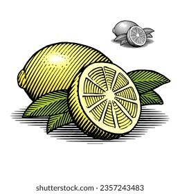 Ilustración de limones con hojas, la ilustración está en un corte de madera vintage, estilo grabado.  Los rellenos de sombra y color están aislados en capas separadas para facilitar el ajuste. 