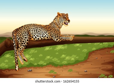 Illustration of a leopard