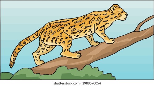 illustration of a leopard climbing on a tree branch