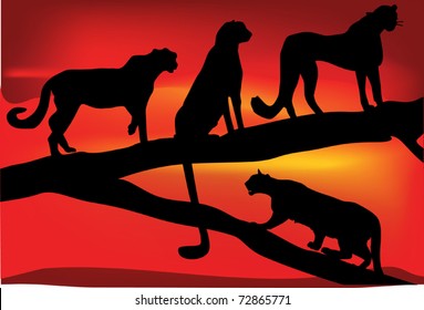 illustration with leopard family at red sunset