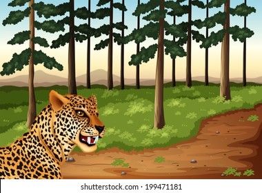 Illustration of a leopard at the forest