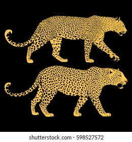 illustration of leopard, graphic vector animal