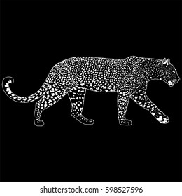 illustration of leopard, graphic vector animal
