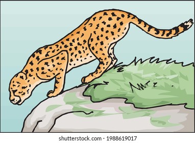 ilustración de un leopardo mirando hacia abajo